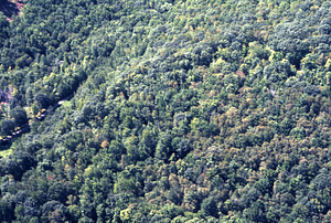 Aerial color image of "Joel Baldwin's Sentry" southern side at Petersburgh Road. False Color Infrared/True Color Project.