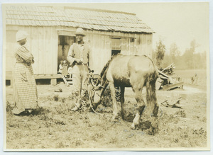 Black man and woman with horse in a Tennessee yard
