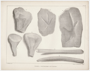 J. Peckham plate, "Fossil footmarks and bones," 1841