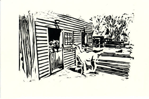Alpaca at the farm, my first print