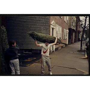 A boy carries a wrapped Christmas tree as another boy looks on