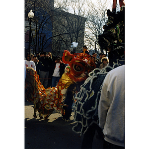 Crowds watch a performance of the dragon dance during a Chinese New Year celebration in Boston's Chinatown