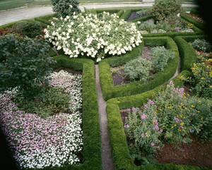 Garden in bloom, Roseland Cottage, Woodstock, Conn.