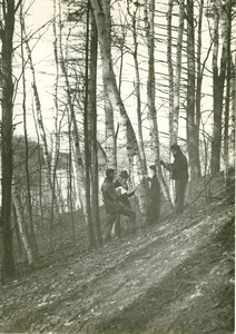 Forestry and Wildlife Management - Mt. Toby Forest