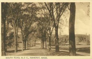 Campus Views, Roads and Walks - Postcards