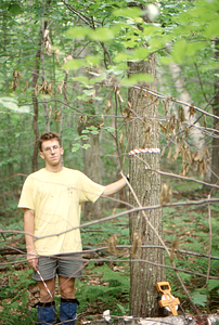 Charles Wall (Class of 1997) and large (9-inch diameter at breast height) American chestnut tree in Permanent Plot 0910.