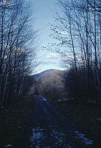 Carriage Road Trail with Mt. Williams in background