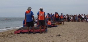 International Fund for Animal Welfare volunteers care for stranded dolphins lying on cushions near the water, with crowd looking on