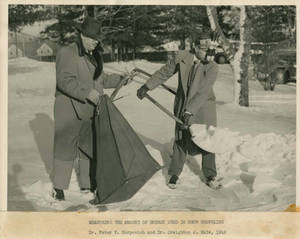 Peter V. Karpovich and Creighton J. Hale, snow shoveling experiment (1949)
