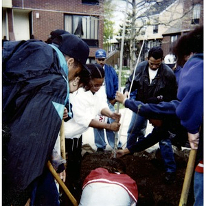 Tree planting in O'Day Playground.