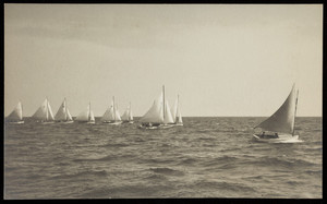 A group of small boats under sail.