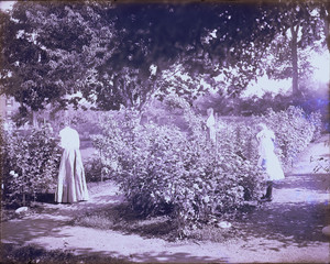 Women in the rose garden