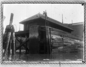 Viaduct pier