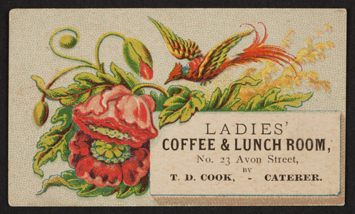 Trade card for the Ladies' Coffee & Lunch Room, T.D. Cook, caterer, No. 23 Avon Street, Boston, Mass., undated