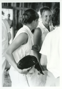 Sheep and handlers at county fair