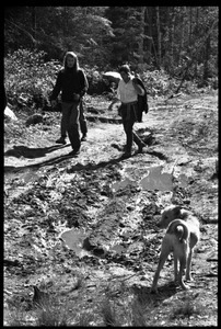 Communards and dog walking on a muddy road, Earth People's Park
