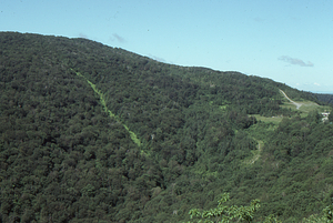 Old Petersburg Pass Ski Area with new telamark trail on left.