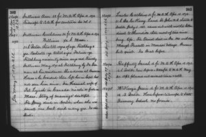 Tewksbury Almshouse Intake Record: Sullivan, Ann
