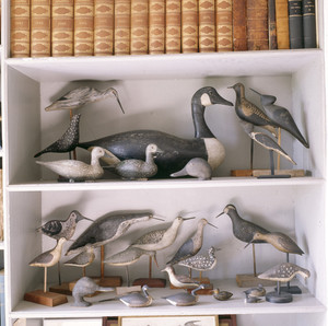 Decoys on shelves in NFL's office, Cogswell's Grant, Essex, Mass.