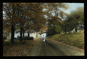 Woman on tree-lined country road in Autumn