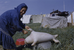 Woman posing with a seal skin float