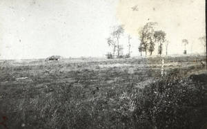 Tank in a field (c. 1918)