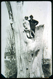 Leona & Percy Cutter in a huge tree on Cinder Banks