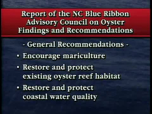 North Carolina Now; North Carolina Now Episode from 04/09/1996