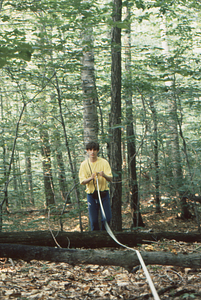 Jonah C. Wittkamper, Class of 1997, reeling up measuring tape in Permanent Plot 1121.