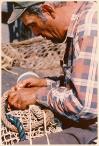 Mending the nets