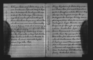 Tewksbury Almshouse Intake Record: Foley, Mary