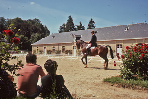 Couple watching dressage, France