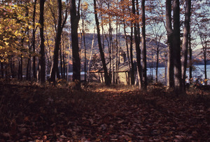 View of lake and trees
