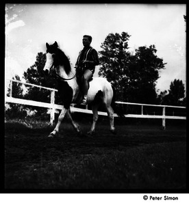 Camp Arcadia: horseback riding