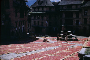 Chiles drying in Bhaktapur