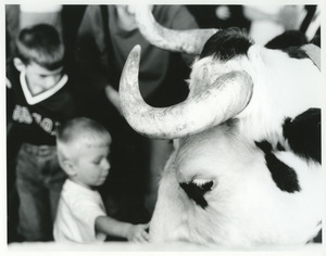 Bull with horns and boys petting