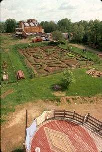 View of Marilyn Dowling's garden between Michael and McCue houses