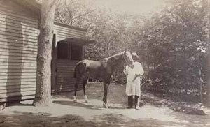 Horse with groom, Brent