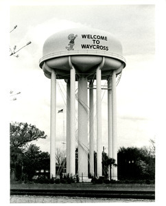 Water tower with Pogo