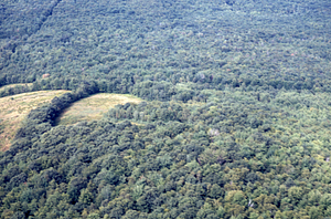 Aerial oblique view Andrew Bernardy's, Farm meadows on 2 Sept 1971.