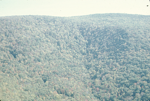 Aerial oblique view Moon Hollow headwall on 14 October 1971.