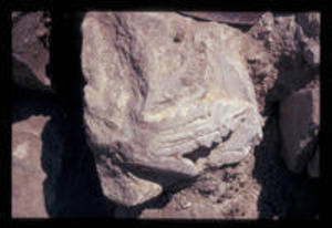Architectural fragment from Trench 9, 1974