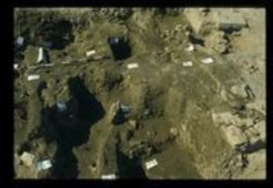 Trench 25, 1980