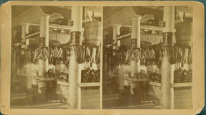 Stereograph of a stall in Quincy Market, Boston, Mass., undated