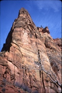 Towering canyon cliff