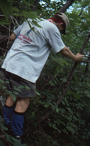 Charles Wall (Class of 1997) approaching Permanent Plot 0102.