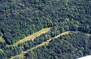 Aerial color image of Northwest Hill Road at permanent plot 09-40.