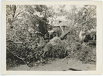 Damage from 1938 Hurricane