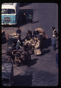 Donkeys, wagon, men talking, bus in background