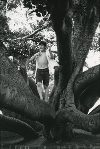 Boy plays Tarzan in Lahaina Banyan Court Park